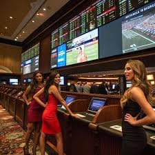77bdbet এ ক্রিকেট ও ক্যাসিনো বিভাগ দেখার অভিজ্ঞতা